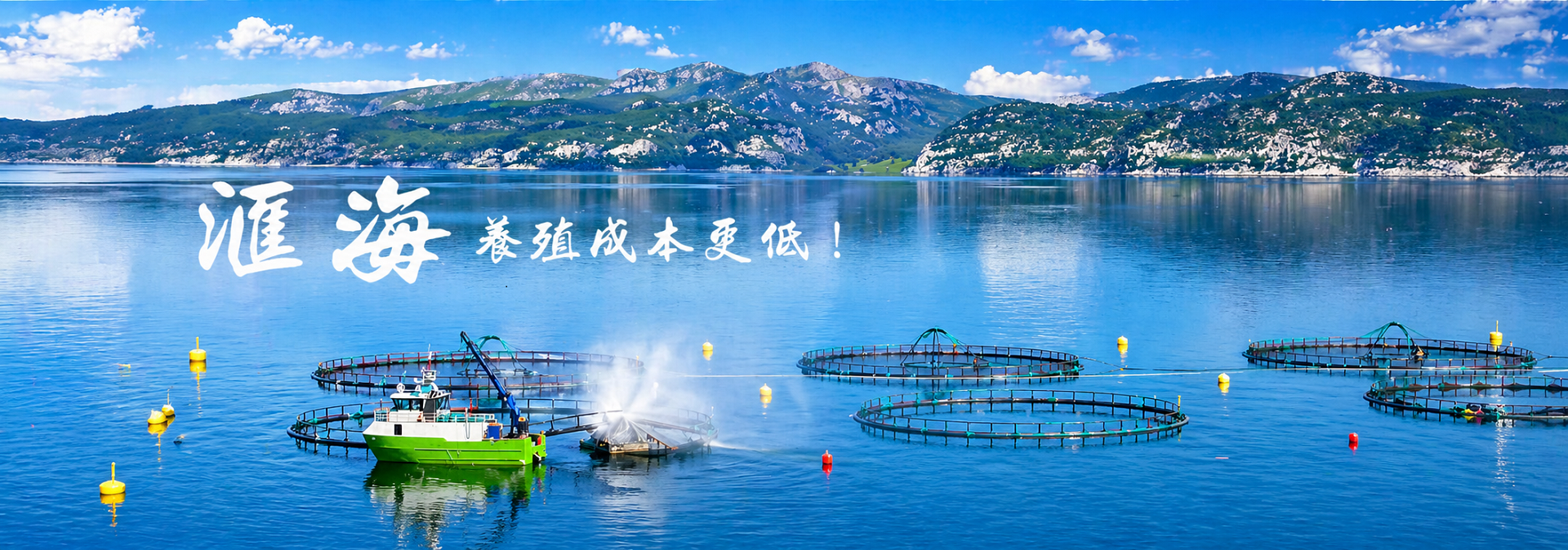 南宫ng28养殖成本更低、更赢利